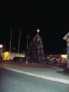 Rehoboth Beach Christmas Tree