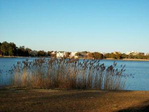 Silver Lake in the late afternoon on Monday in Rehoboth Beach