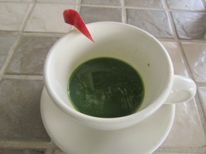 Green shot of wheat grass with a sliver of apple