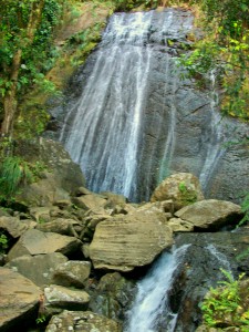 La Coca Falls, El Yunque 